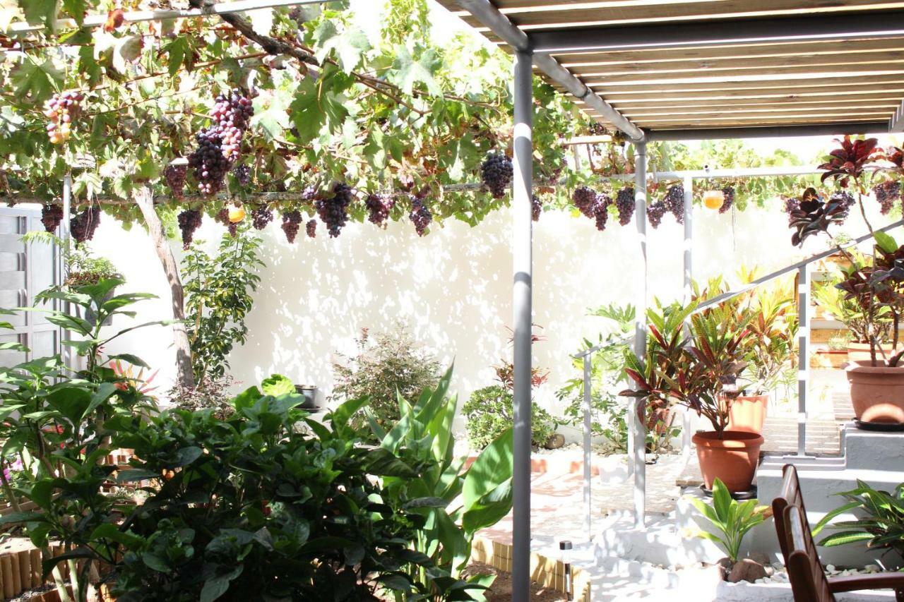 Villa Casa Carmela à Agaete  Extérieur photo